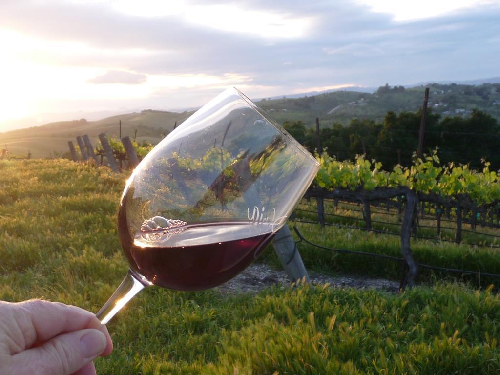 The Eden House Vineyard Hotel Templeton Eksteriør billede